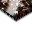DM-Zebras at library Acrylic print