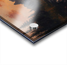 DM-freedom 0007 Acrylic print