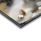 DM- Gemini Acrylic print