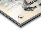 DM-forgotten nature Acrylic print