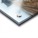 DM-The Vanished memories Impression Acrylique