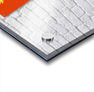 DM  Donald BAD Acrylic print