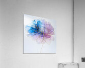 DM-FL0003 Acrylic Print