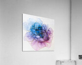 DM-FL0002 Acrylic Print