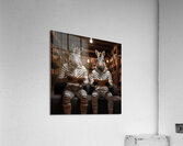 DM-Zebras at library Acrylic Print