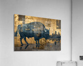 DM-Buffalo in the city 001 Acrylic Print