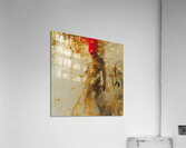 DM- Long gone 003 Acrylic Print