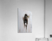DM -The Leader Acrylic Print