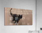 DM-RUN SIMON Impression acrylique