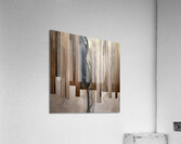 DM  Whispers of the Forest 003 Acrylic Print