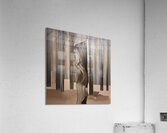 DM  Whispers of the Forest 002 Acrylic Print