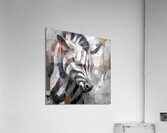 DM-Zebra003 Acrylic Print