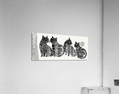 DM-Persian Cats Acrylic Print