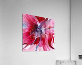 DM-Modern floral- Red 002 Acrylic Print