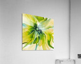 DM-Green Modern Floral-2 Acrylic Print