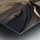 DM  Golden Floral 008 Metal print