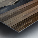 DM  Whispers of the Forest 003 Metal print