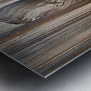 DM  Whispers of the Forest 002 Metal print