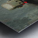 DM-love in 2025 Metal print