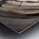 Dm- Abstract 002 Impression metal