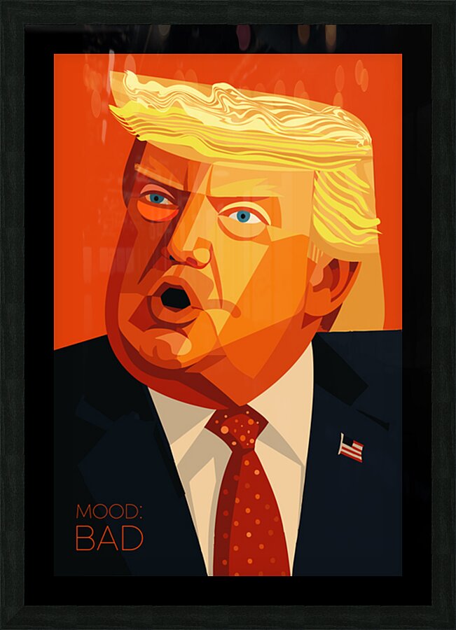 DM  Donald BAD Picture Frame print