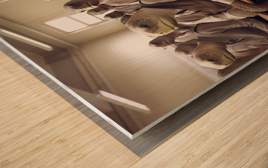 DM- Turtles in the Class 002 Impression sur bois