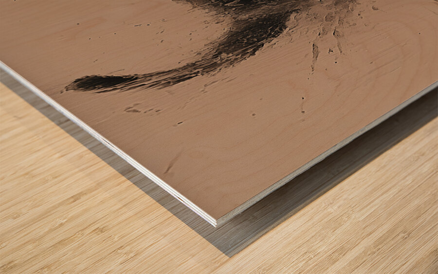 DM-RUN SIMON Impression sur bois