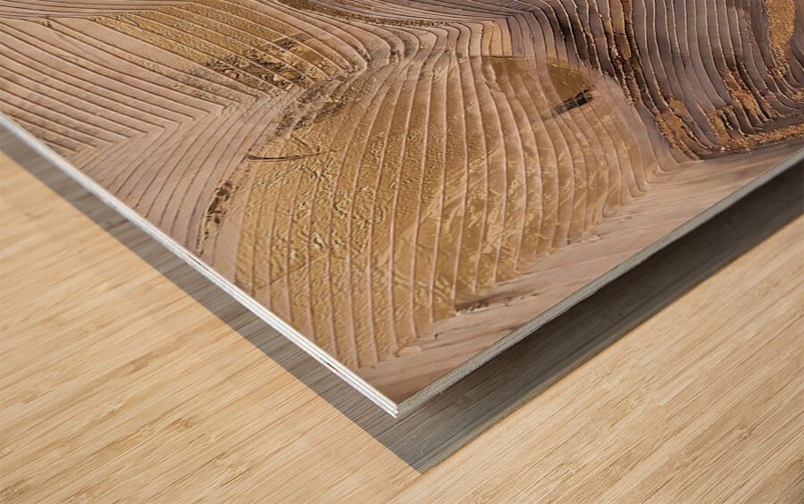 DM  Golden wave005 Wood print