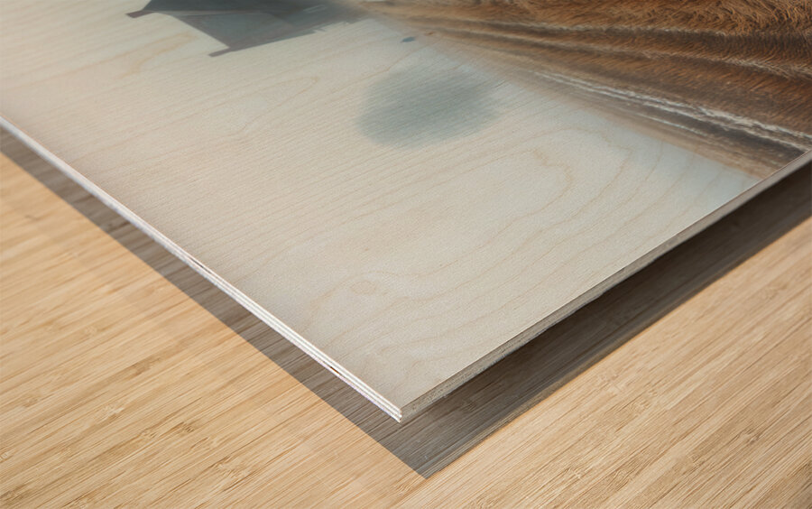 DM-The Vanished memories Impression sur bois