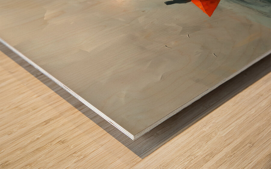 DM  Life trip2 Wood print