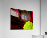 Red & Yellow Acrylic Print