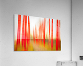 Red Pole Forest Acrylic Print