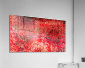 Blaze__Rojo Acrylic Print