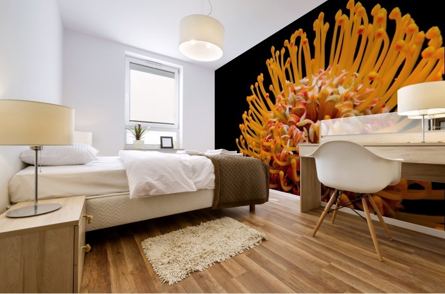 Orange Flower Mural print
