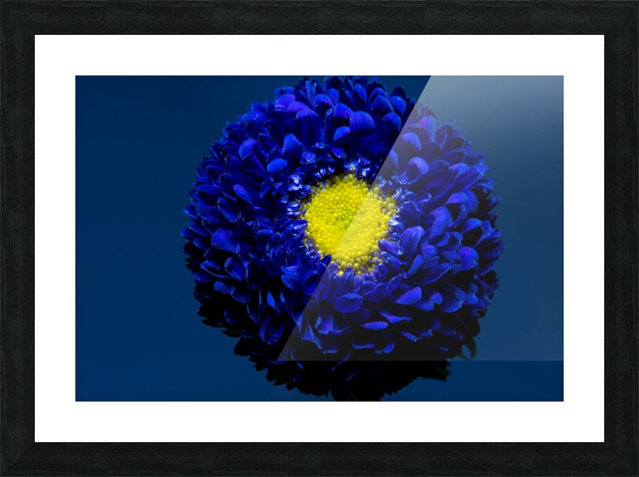 Blue Picture Frame print