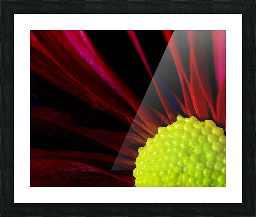 Red & Yellow Picture Frame print