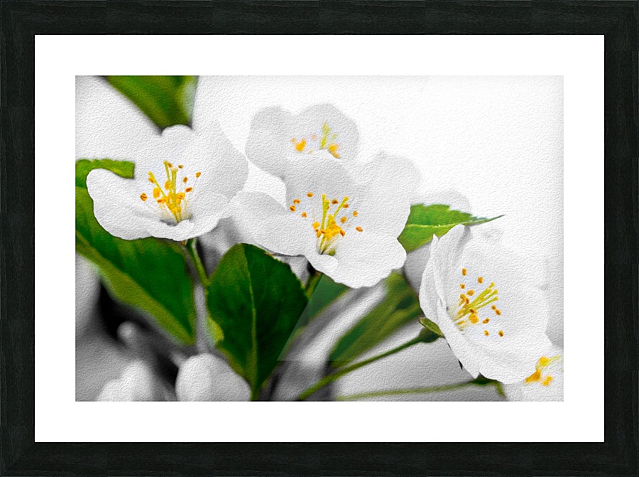 Spring Picture Frame print