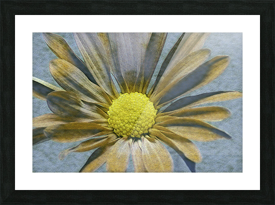 Flower Picture Frame print