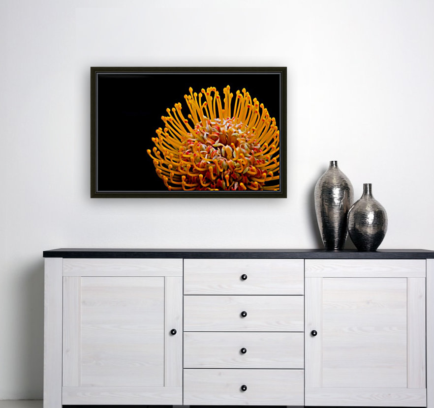 Orange Flower Reproduction