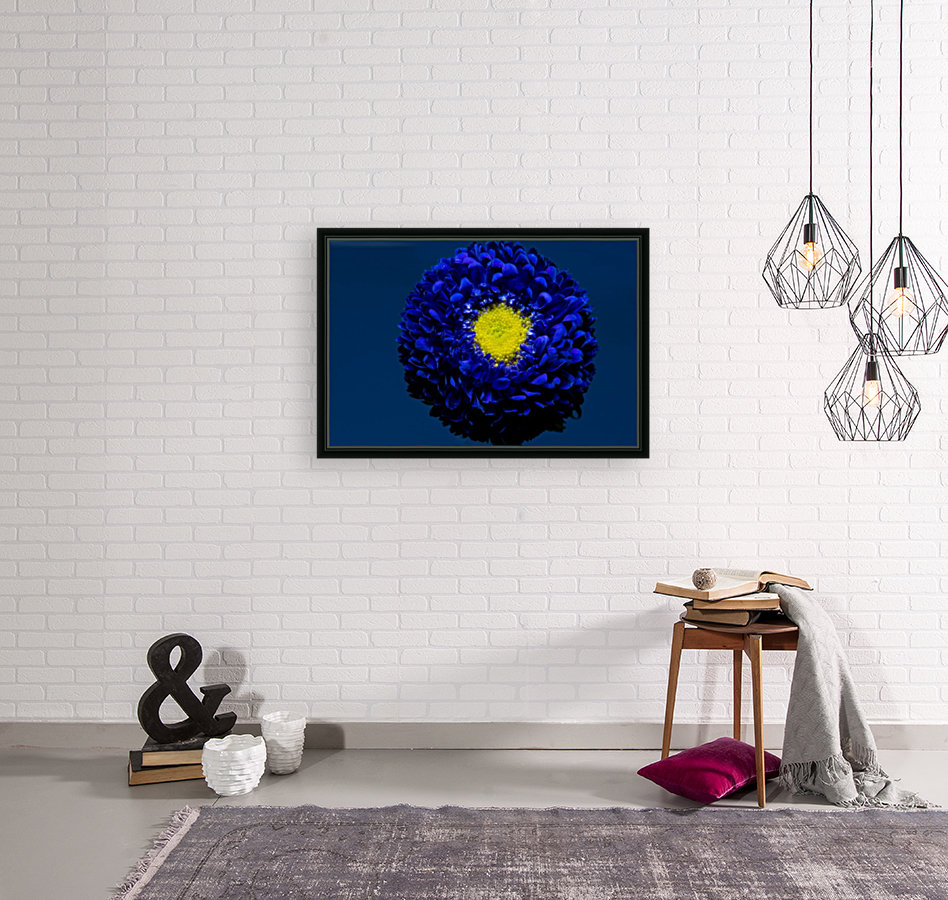 Blue Reproduction