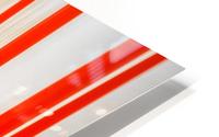 Red Pole Forest HD Metal print