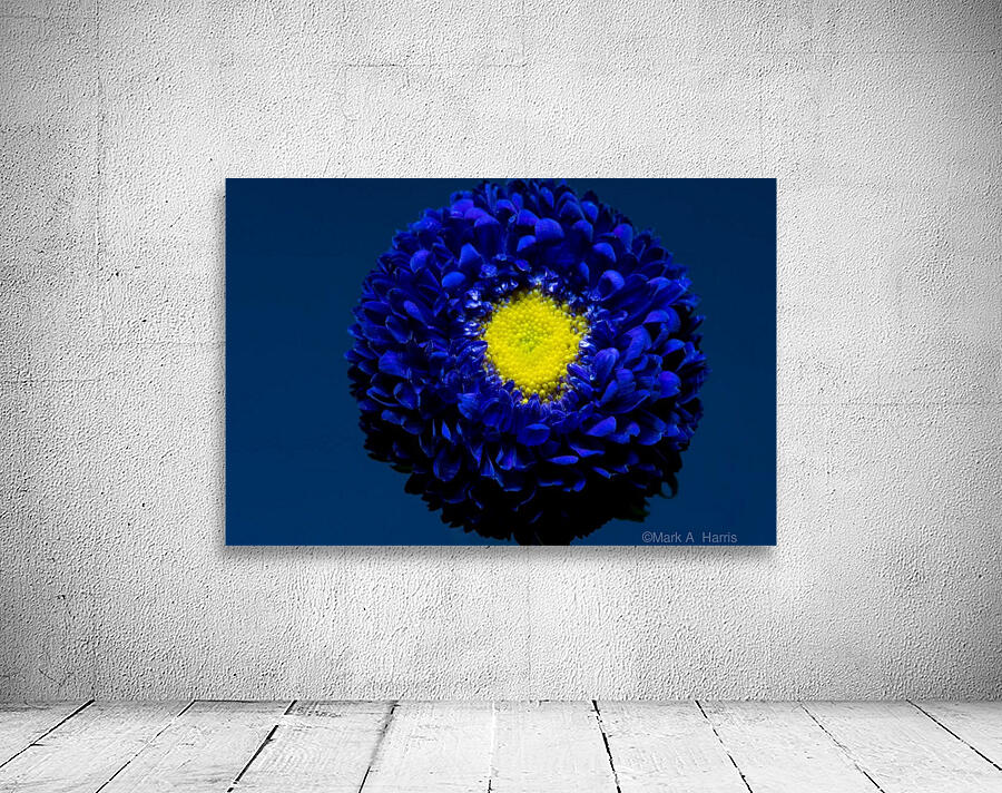 Blue Wall Preview