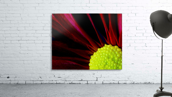 Red & Yellow Wall Preview