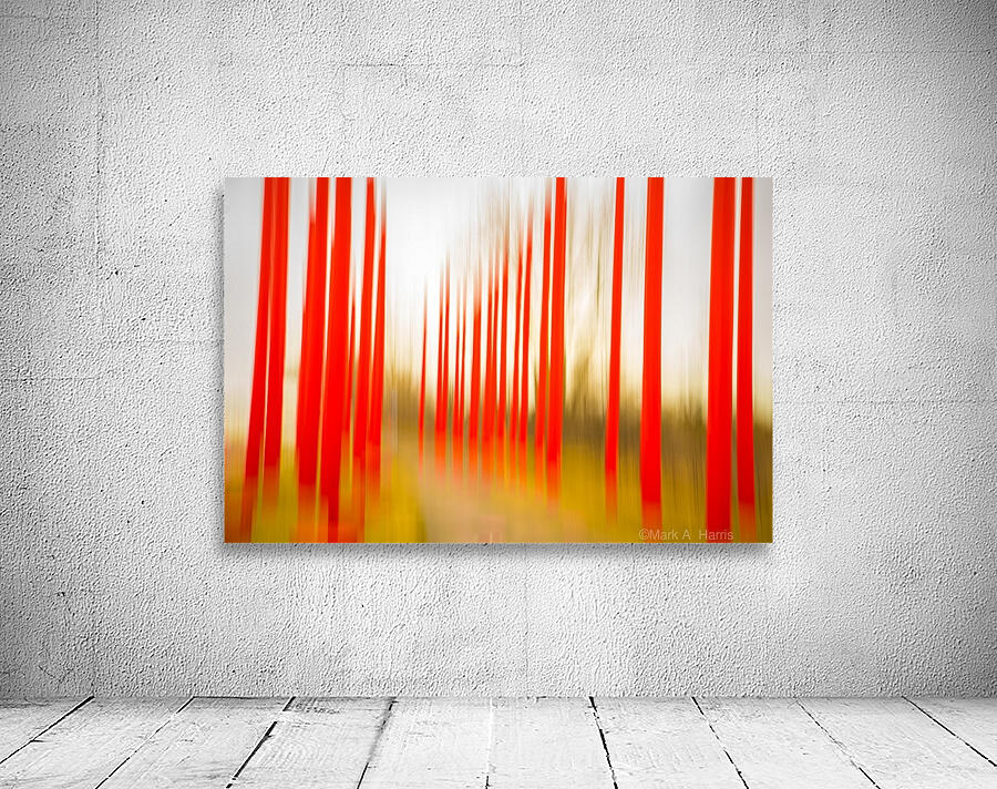 Red Pole Forest Wall Preview