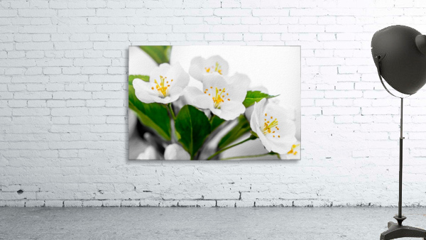 Spring Wall Preview