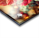 Forever Rose 1 Acrylic print