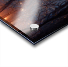 Forever Rose 4 Acrylic print