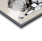 Dear Rose Acrylic print