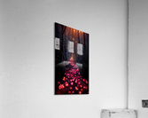 Forever Rose 4 Acrylic Print