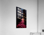 Forever Rose 5 Acrylic Print